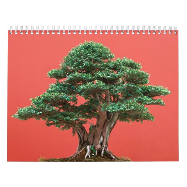 Calendário Bonsais do Yew (Capa)