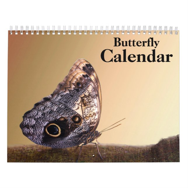 Calendário Borboleta 2026 (Capa)