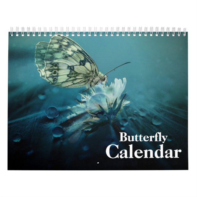 Calendário Borboleta 2027 (Capa)