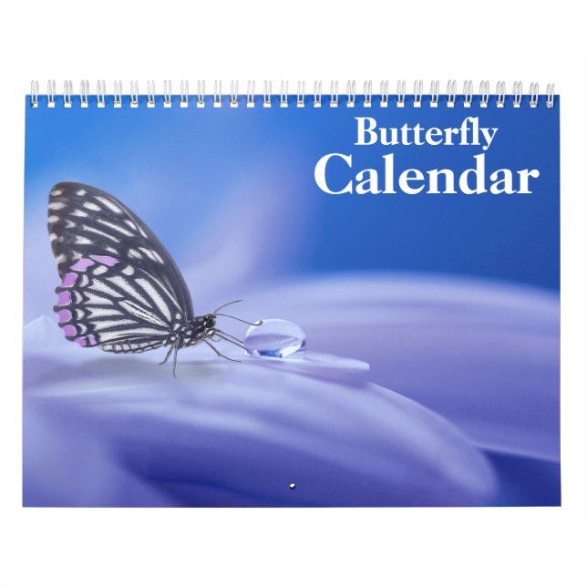 Calendário Borboleta 2027 (Capa)