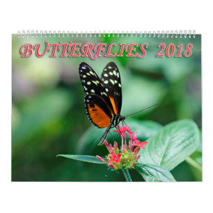 Calendário Borboletas 2018