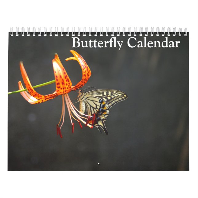 Calendário Borboletas 2025 (Capa)