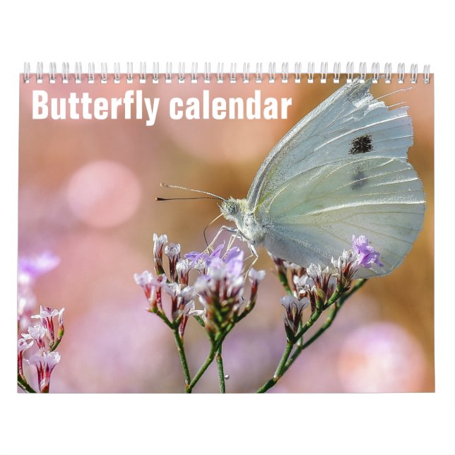 Calendário Borboletas 2025 (Capa)