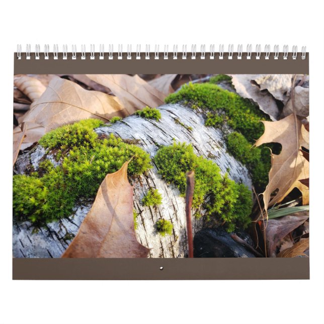 Calendário Botânico (Capa)