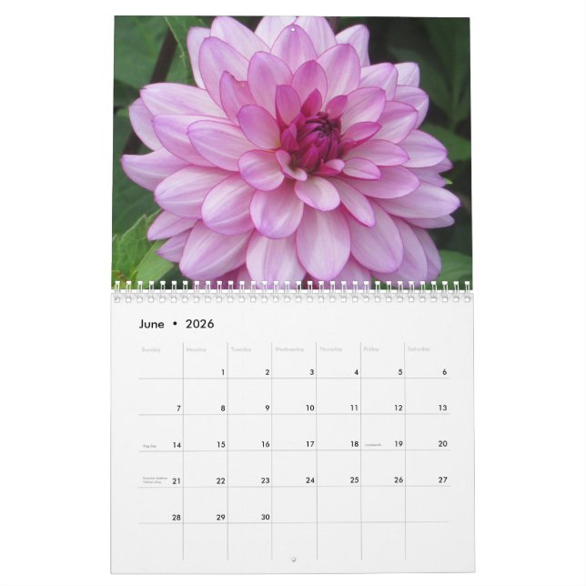 Calendário Botânico de Dahlias Colorida Elegante (Jun 2026)