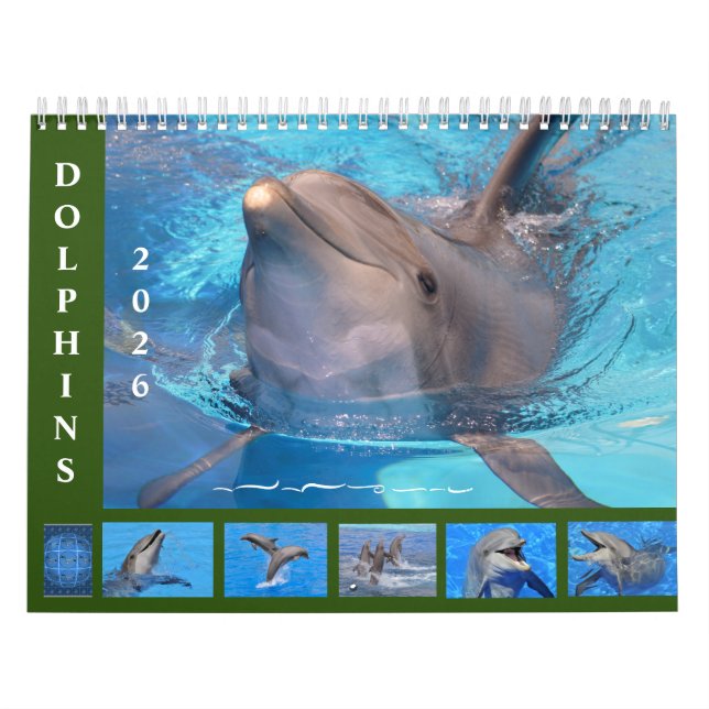 Calendário Bottlenose dolphins 12 month calendar (Capa)