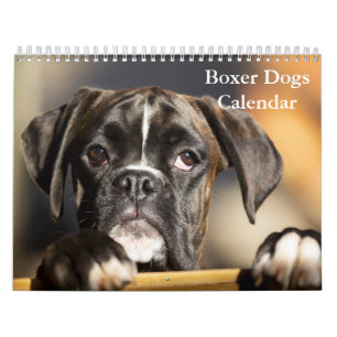 Calendário Boxers Dogs 2025