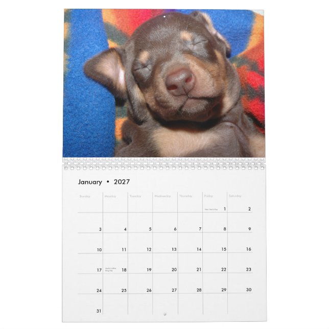 Calendário branco do Doberman (Jan 2027)