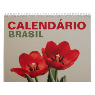 Calendário Brasileiro com Feriados   Brasil