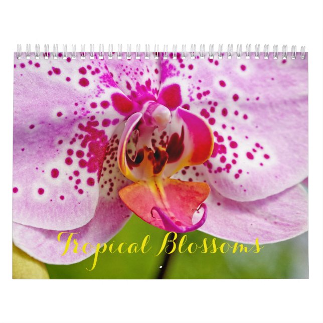 Calendário Brilhos Tropicais (Capa)