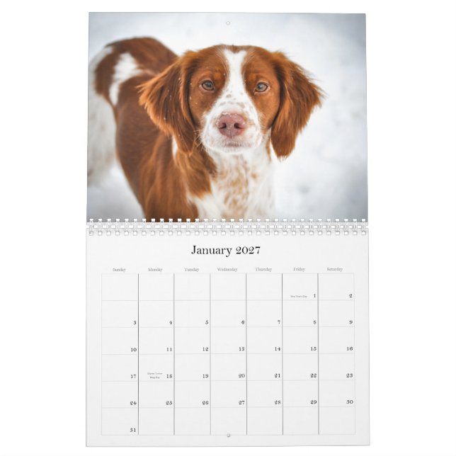 Calendário Brittanys (Jan 2027)