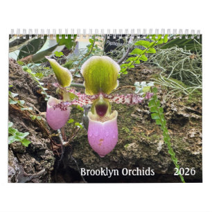 Calendário Brooklyn Orchids 2026