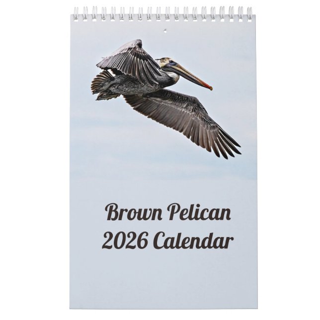 Calendário Brown Pelican 2025 (Capa)