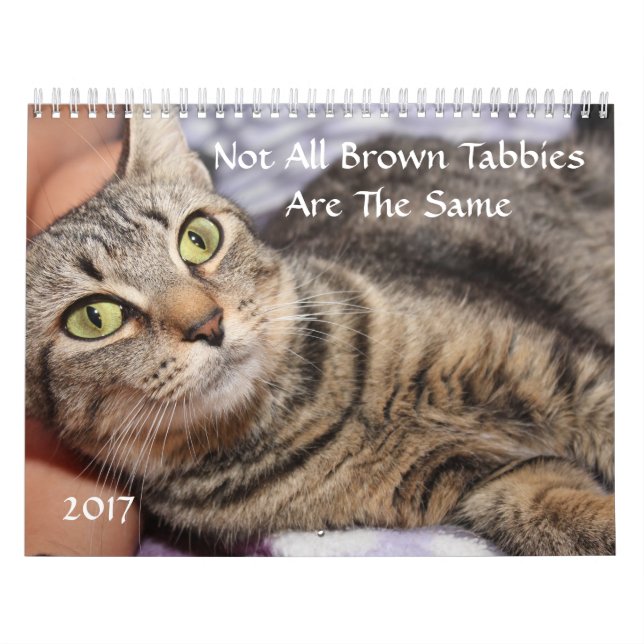 CALENDÁRIO BROWN TABBY 2017 (Capa)