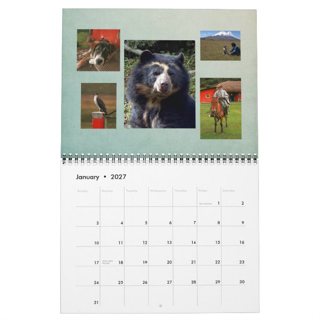 Calendário Bubu 2011 (Jan 2027)