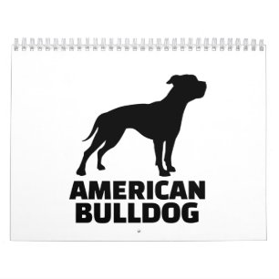 Calendário Buldogue americano