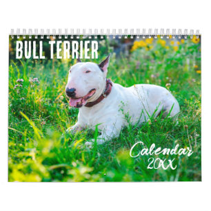 Calendário Bull Terrier 2026