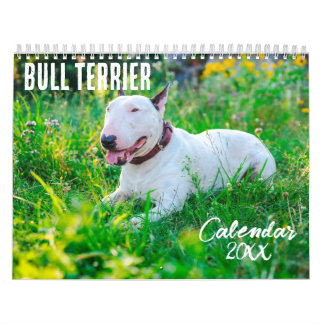 Calendário Bull Terrier 2026