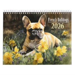 Calendário Bulldog Francês 2026