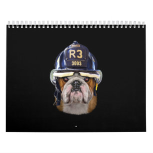 Calendário Bulldog Inglês Grumpy Vestindo Helmet para Bombei