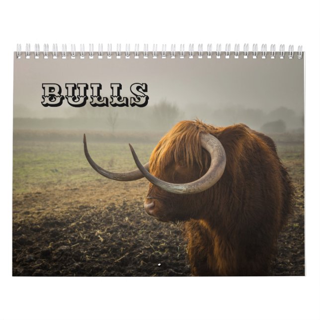Calendário Bulls (Capa)