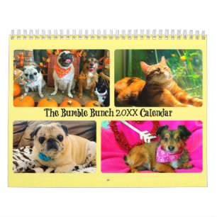 Calendário Bumble Bunch 2020