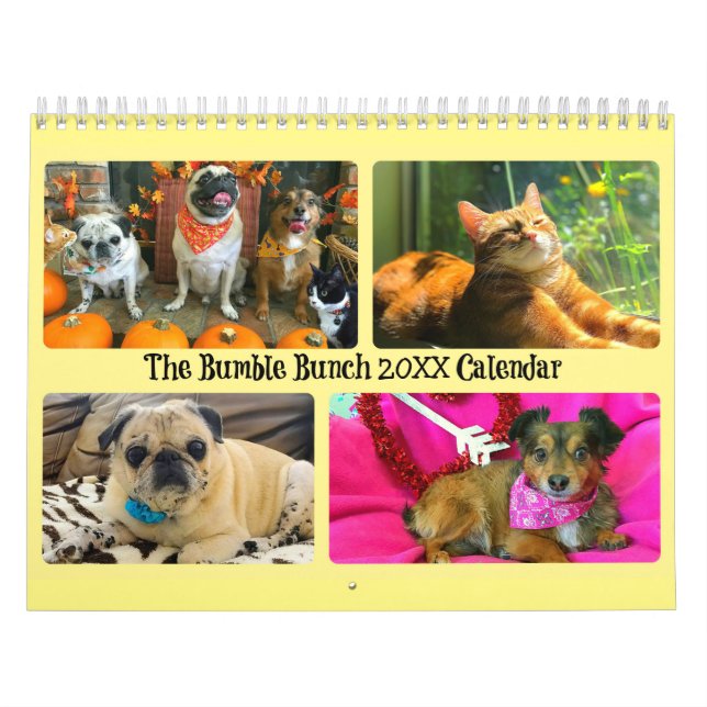 Calendário Bumble Bunch 2020 (Capa)