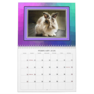CALENDÁRIO BUNIES REAIS 2026