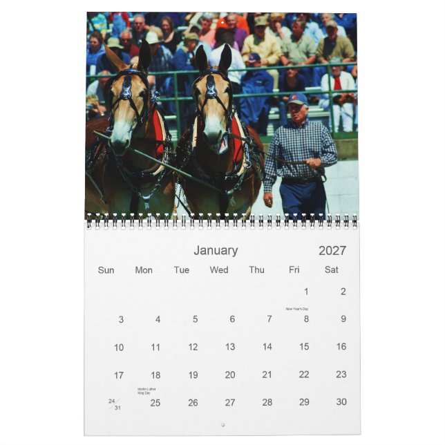 Calendário burros e burros (Jan 2027)