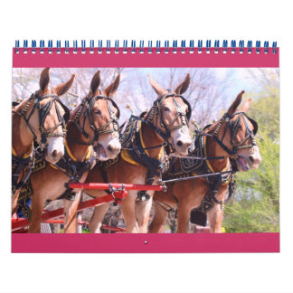 Calendário burros e burros