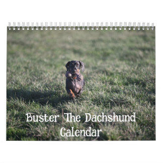 Calendário Buster o Dachshund