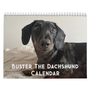 Calendário Buster o Dachshund