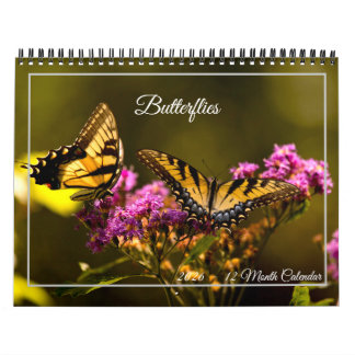 Calendário Butterflies 12 Month Calendar