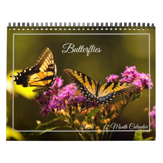 Calendário Butterflies 12 Month Calendar (Capa)