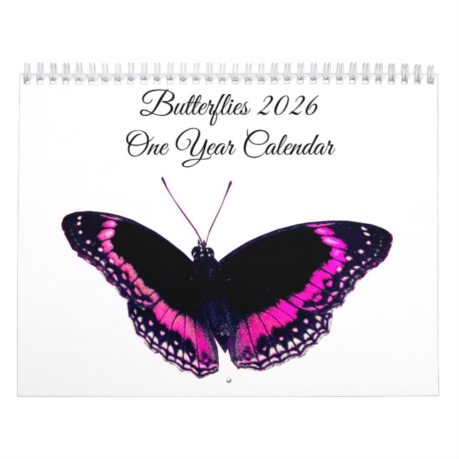 Calendário Butterflies 2026 One Year Calendar (Capa)