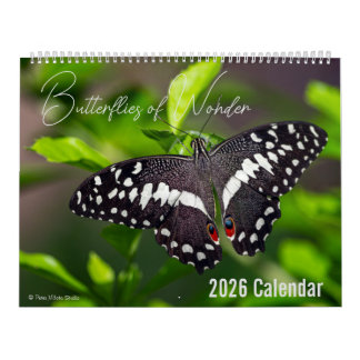 Calendário Butterflies of Wonder 2026 Nature Calendar