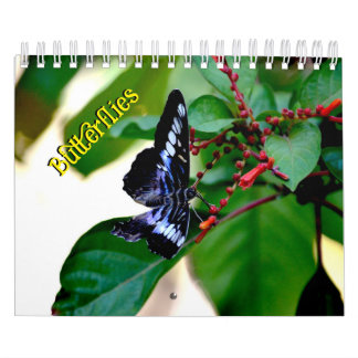 Calendário Butterfly Calendar