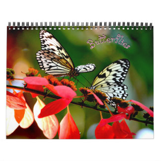 Calendário Butterfly Calendar