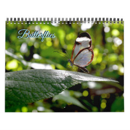 Calendário Butterfly Calendar
