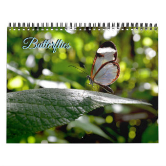 Calendário Butterfly Calendar
