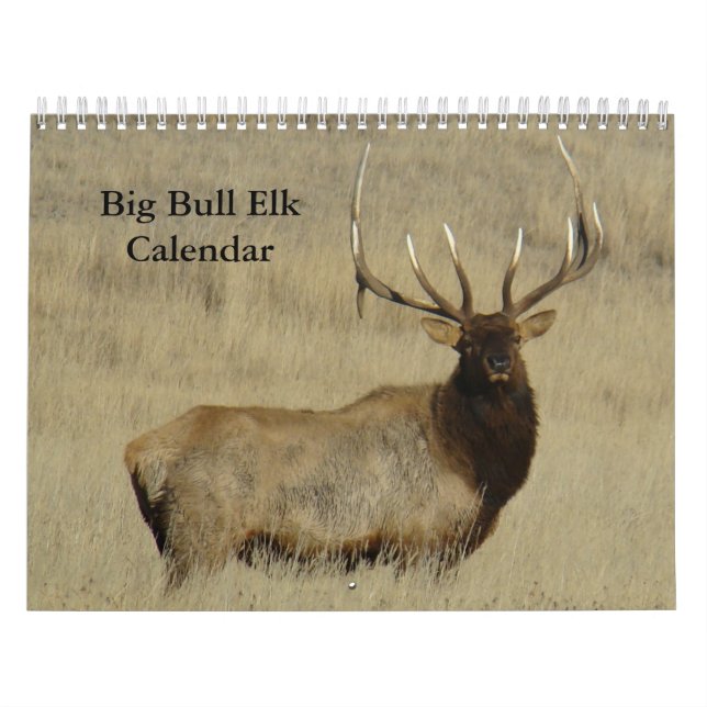 Calendário C10 Grande Alce Touro (Capa)