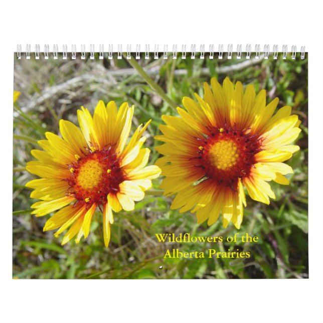 Calendário C12 Flores Silvestres das Pradarias de Alberta (Capa)