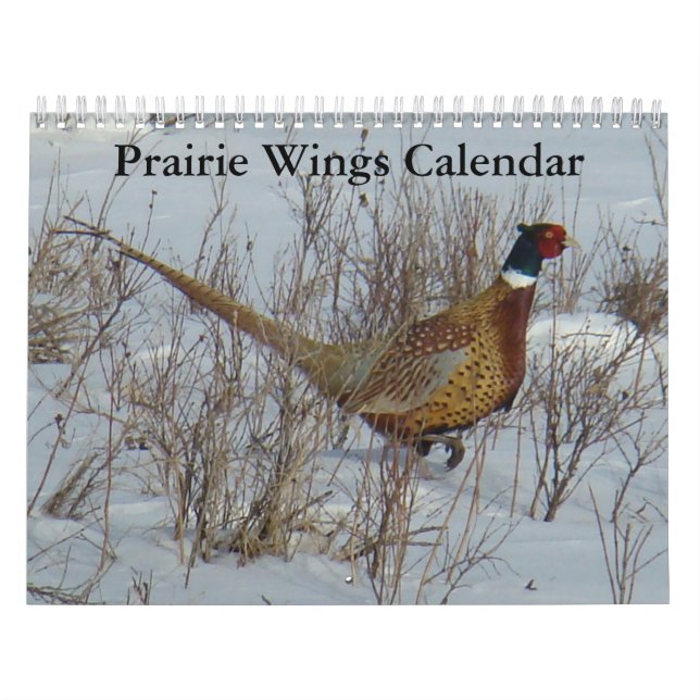 Calendário C8 Prairie Wings (Capa)