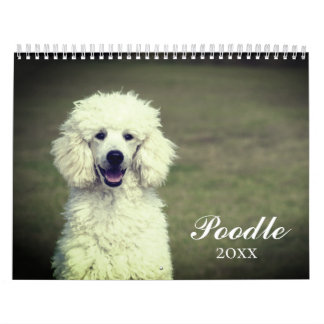 Calendário Cachorro de Poodle