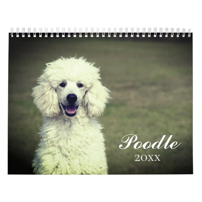 Calendário Cachorro de Poodle (Capa)