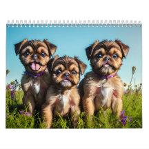 Cachorro de porco do Lover