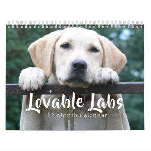 Calendário Cachorro Labrador Retriever, 2025