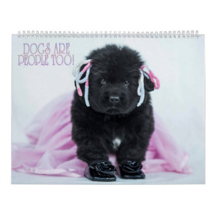 Calendário Cachorros De Táxi Também São Pessoas!