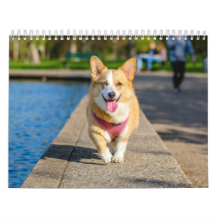 Calendário Cachorros Fofos Simples Minimalista
