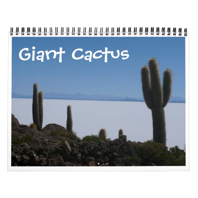 Calendário cacto gigante 2026 (Capa)